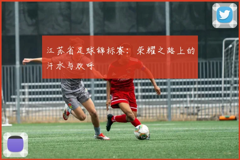 江苏省足球锦标赛：荣耀之路上的汗水与欢呼